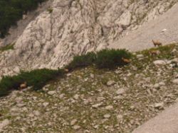 Regina-F-Rau_2013-08-15_Frohkostgipfel  (135).JPG